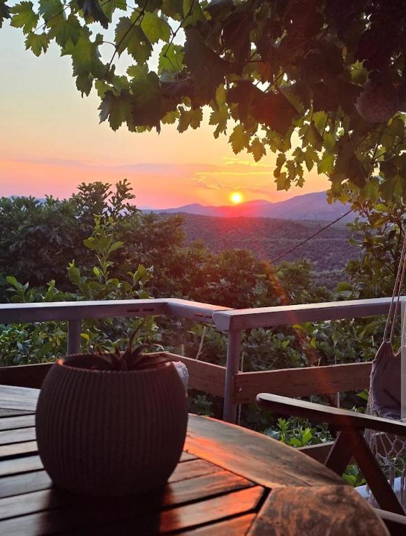 Zelís photo — Terrace 6